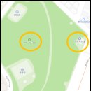 가락지구대 이미지