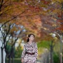 조선옥 이미지
