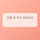 모다케어 네이버블로그