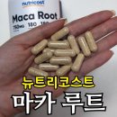마카오래 | 뉴트리코스트 마카 루트 750mg 내돈내산 후기 | 23,000원 가성비? 캡슐 크기 직접 확인