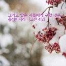 고린도전서 4장2절 (영적인 충성을 하려면) 이미지