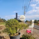 오름민박 | 제주도의 힐링 공간 ~! 제주 <알밤오름하우스 > 이용 후기