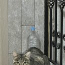 친구반점 이미지