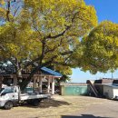 팔영경로당 이미지