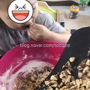 오늘DOG예쁨 이미지