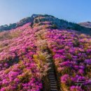 영취산봉수 이미지