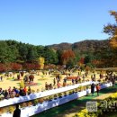 ‘2018 청남대 가을 국화축제’20일 팡파르 이미지