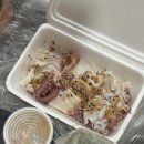 양포문어 이미지