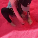 봉식이놀이터 이미지