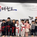 용인대 스타 태권도장 이미지