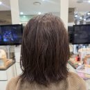 H스타일(에비뉴청담점)