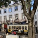 리스(219) | 8. 신혼여행 - 리스본편 (1/3)