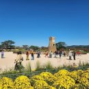 251029 시진핑 의전차 ‘훙치’ 경주 APEC 리허설 중 포착 이미지