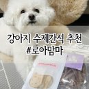 로아맘마 이미지