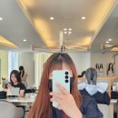 찬솔 | 강남역 미용실 어몽헤어 염색후기 찬솔디자이너