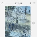 루리힐 이미지