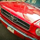 석전동461 이미지