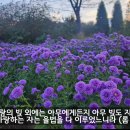 [일주일송] 주만 바라볼지라 _ 2024.10.16 _ 수요일에 주신 말씀 이미지