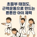 고려대단관태권도 이미지