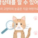 더 가까운 동물병원 이미지