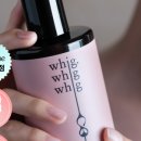 바디와이즈 이미지