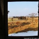 밝은목장 이미지