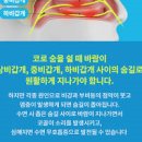 코골이 원인 없애는법, 수면 중 무호흡 불안하다면? 이미지