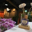 제이필라테스/퍼스널트레이닝 이미지