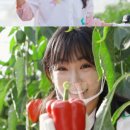 이유리농장 이미지