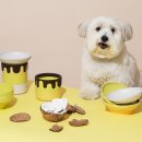 본아페티 이미지