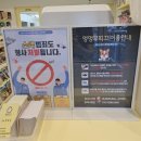 멍멍부띠끄 이미지