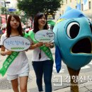 착한참치 이미지