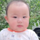 북상면횟집 네이버블로그