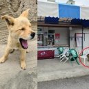 동네슈퍼 이미지