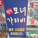 모녀가리비 | 속초 모녀가리비 웨이팅 주차 꿀팁 영업시간 내돈내산 후기