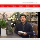 디블름 이미지