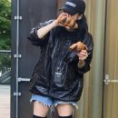 해피퍼피 이미지