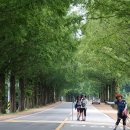 상전면다목적구장 이미지