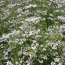 고수농장 이미지