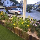 잼잼풀빌라 키즈펜션 이미지