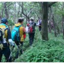 (주)사려니 이미지