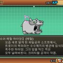 부엉이 눈썹