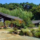 삼소굴