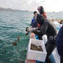 삼산면-8 이미지