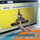 홈런사하학습센터학원