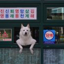 매표소 이미지