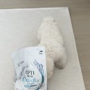 케어덴탈 | 옵티밀뷰티 포디움 샤이니코트&amp;덴탈케어 - 저알러지사료 추천, 급여 후기