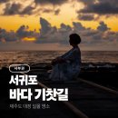 수산1리 | 제주도 서귀포 바다 기찻길 대정 일몰 명소 물때 돌고래 명소