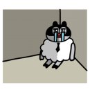 족발야시장 선유도점 이미지