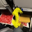 A330 | 일본 도쿄행 파라타항공 A330솔직후기 |내돈내산